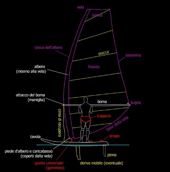 Labeled diagram of windsurf board and rig parts